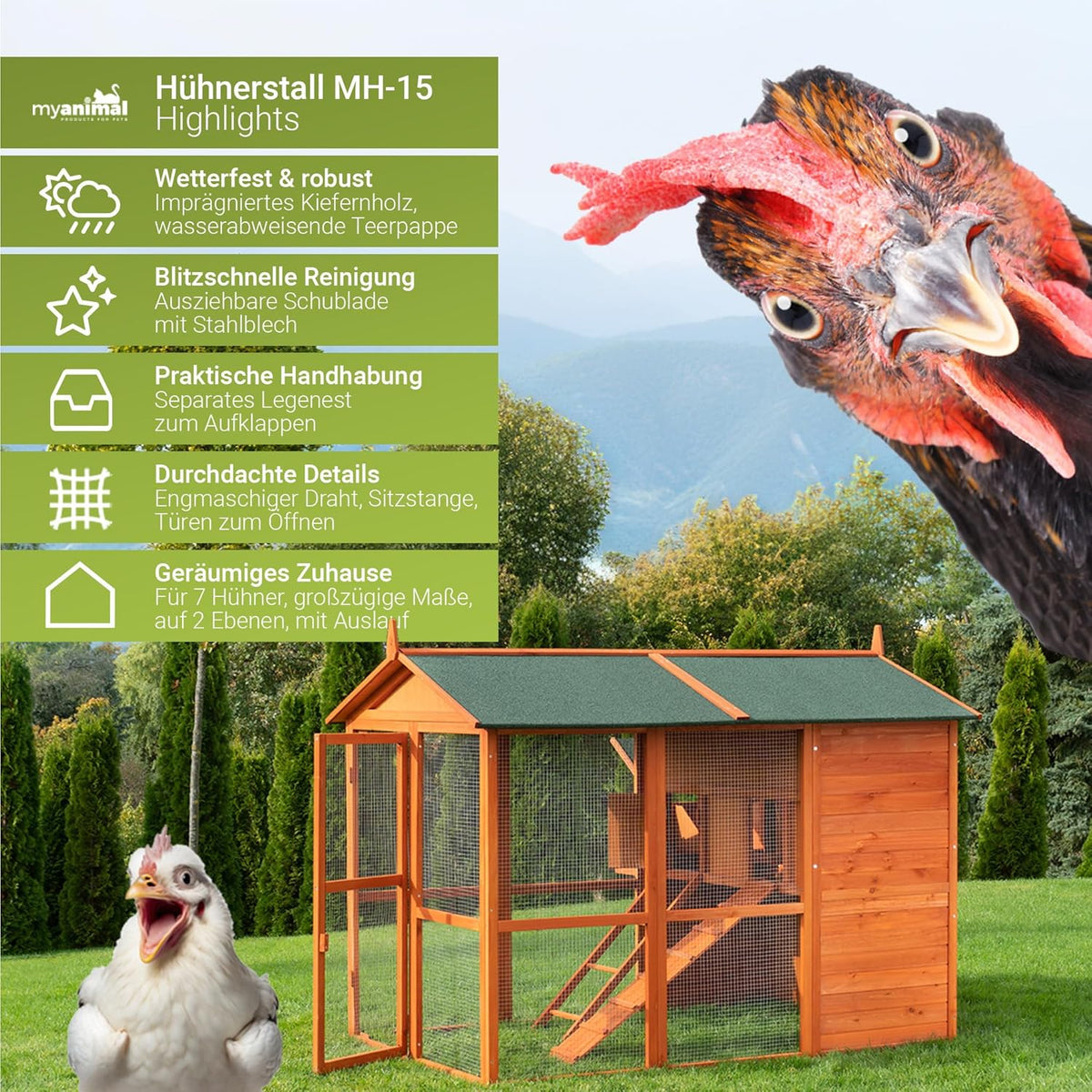 2026 Gallinero Miweba MyAnimal MH-15 XXL | 186x146x147 cm - Para 7 gallinas - Nido con corral - Percha - Resistente al invierno - 2 niveles - Gallinero con zona de puesta de huevos - Madera de pino - Aviario (Marrón)