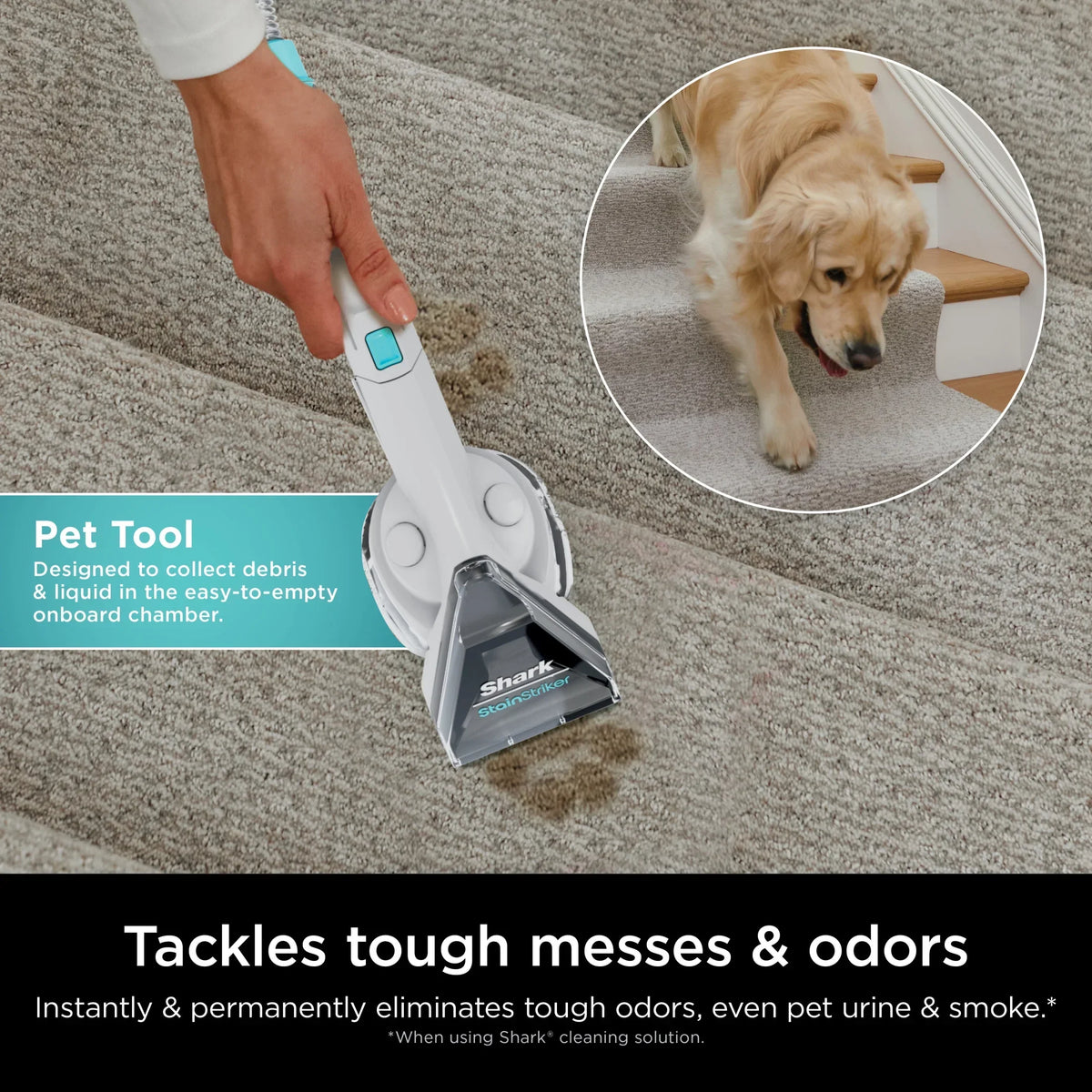 2026 NewShark CarpetXpert with Stainstriker Carpet Cleaner