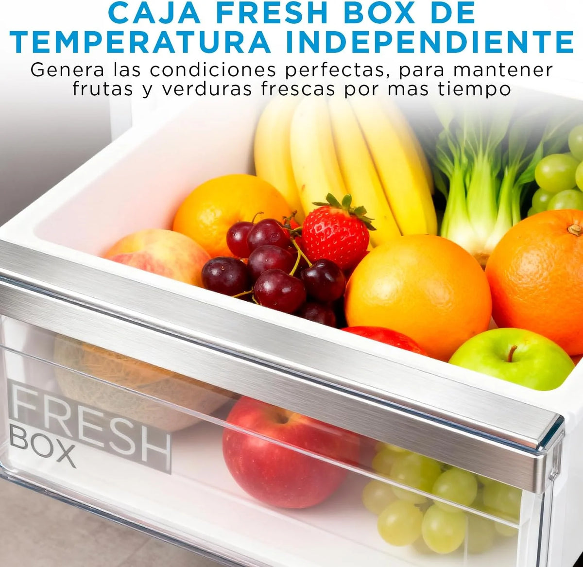 2026 Midea Frigorífico Combi No Frost | 60 cm ancho x 188 alto cm | Inox | Nevera libre instalación 224 L 86 L Congelador - Refrigerador de bajo consumo con congelador vertical