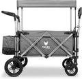 2026 Carrito plegable FUXTEC FX-CTL900 Premium gris para niños, para jardín, playa o ciudad, empujable y remolcable, carga máxima 75 kg