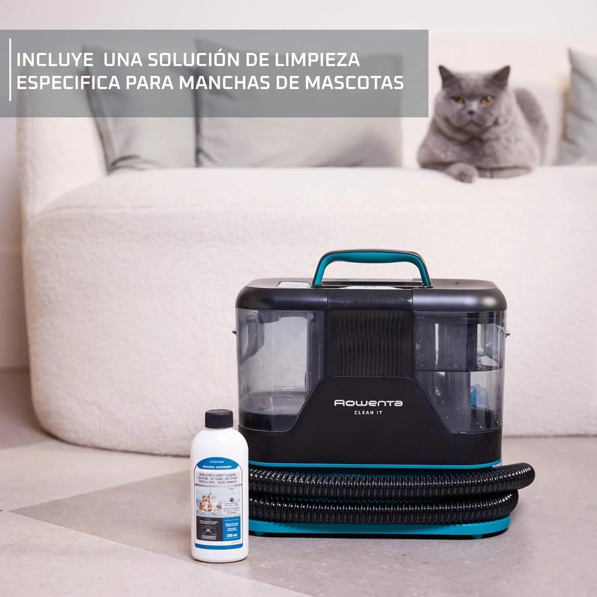 2026 Rowenta Clean It, Aspirador de tapicerías, Limpieza Rápida y Fácil, Apto para Suciedad de Mascotas, Alfombras, Interior del Coche, 750w, 6acc, IN5020F0