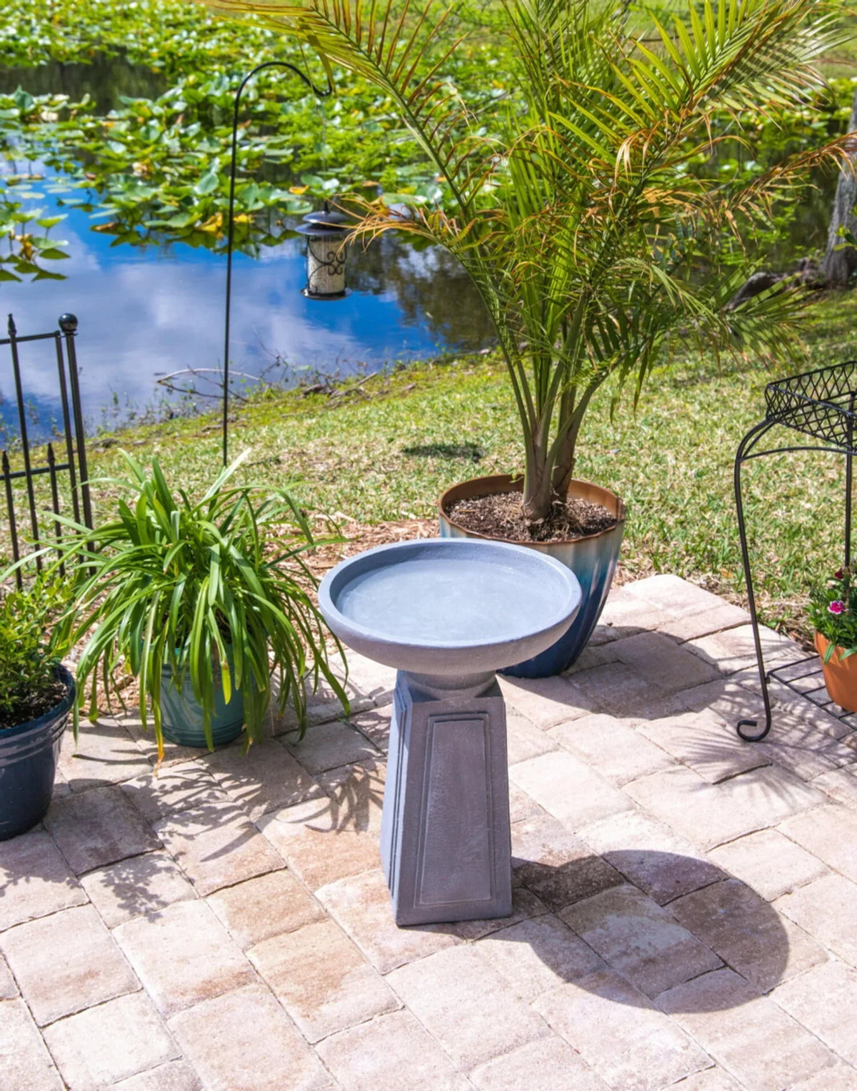 2026 NewPedestal Outdoor Bird Bath with Gray Finish