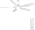 2026 Newday Ventilador de techo de 153 cm, blanco, con luz y mando a distancia, regulador LED, motor DC reversible, 5 aspas silenciosas