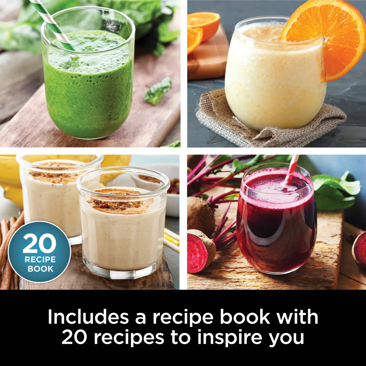 2026 NewNinja Nutri-Blender Plus