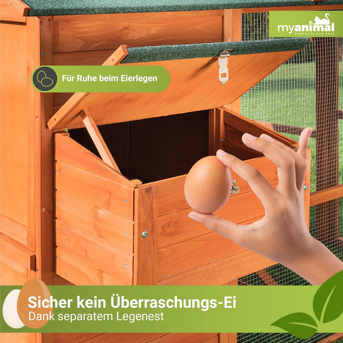 2026 Gallinero Miweba MyAnimal MH-15 XXL | 186x146x147 cm - Para 7 gallinas - Nido con corral - Percha - Resistente al invierno - 2 niveles - Gallinero con zona de puesta de huevos - Madera de pino - Aviario (Marrón)