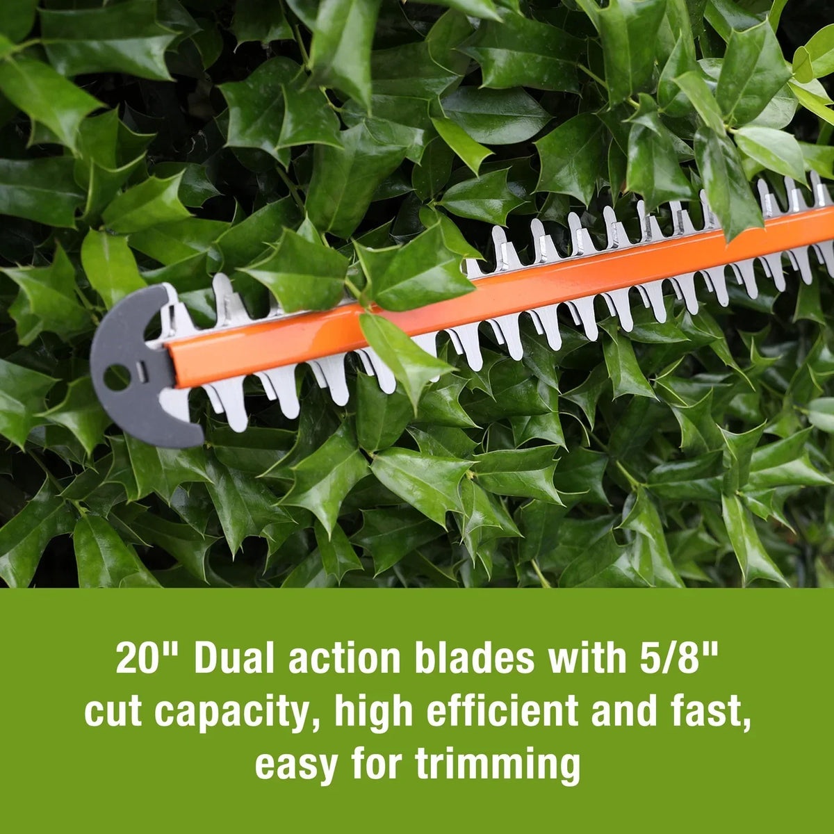 2026 NewWORKPRO 20V Cordless Hedge Trimmer, 20" Dual Action Blades Electric Hedge Trimmer, with Battery and Charger